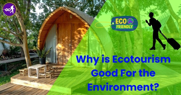 Why is Ecotourism Good For the Environment?