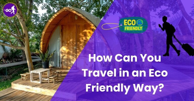 How Can You Travel in an Eco Friendly Way?