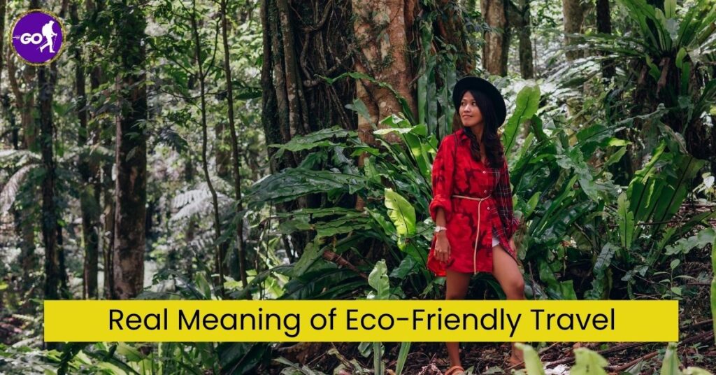 How Can You Travel in an Eco Friendly Way?