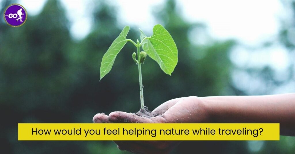 Why is Ecotourism Good For the Environment?