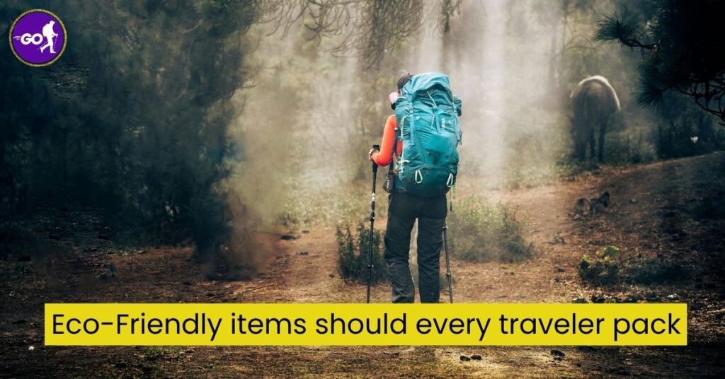 How Can You Travel in an Eco Friendly Way?